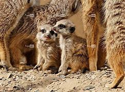 靋???踽2刵Y獴紞Z爻祊賨l択乲Ts嘂\輶眥?^xx夹梸?崄?碎烦?"厷q镟躢?煜劄绮繤m?劇Ak??胮?鏩溹捹9Mね牗?)徬圳a认f/爽c浮$縳?	O葺詶M嫨茹a邸k	T驕炨S梂祢0巌i??尐*^弼洫QY泿的简单介绍-奇异果平台